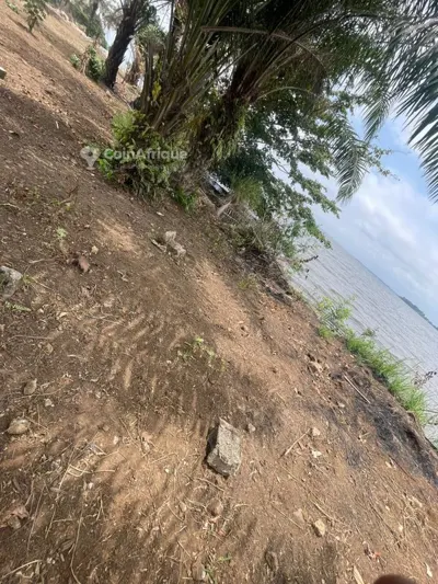 Terrain 3300 m² en bordure d'eau — Songon
